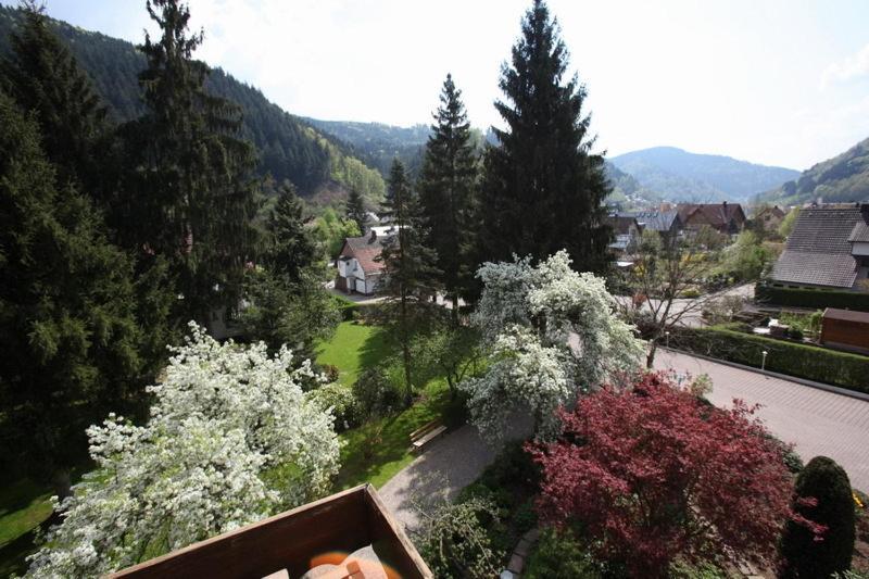 Hotel Garni Cafe Schacher Oberwolfach Exteriör bild